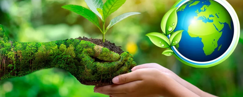Suistainability